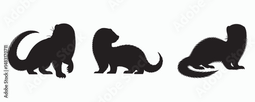 Silhouettes of three ferret poses in black, highlighting distinct stances and body shapes on a white background.