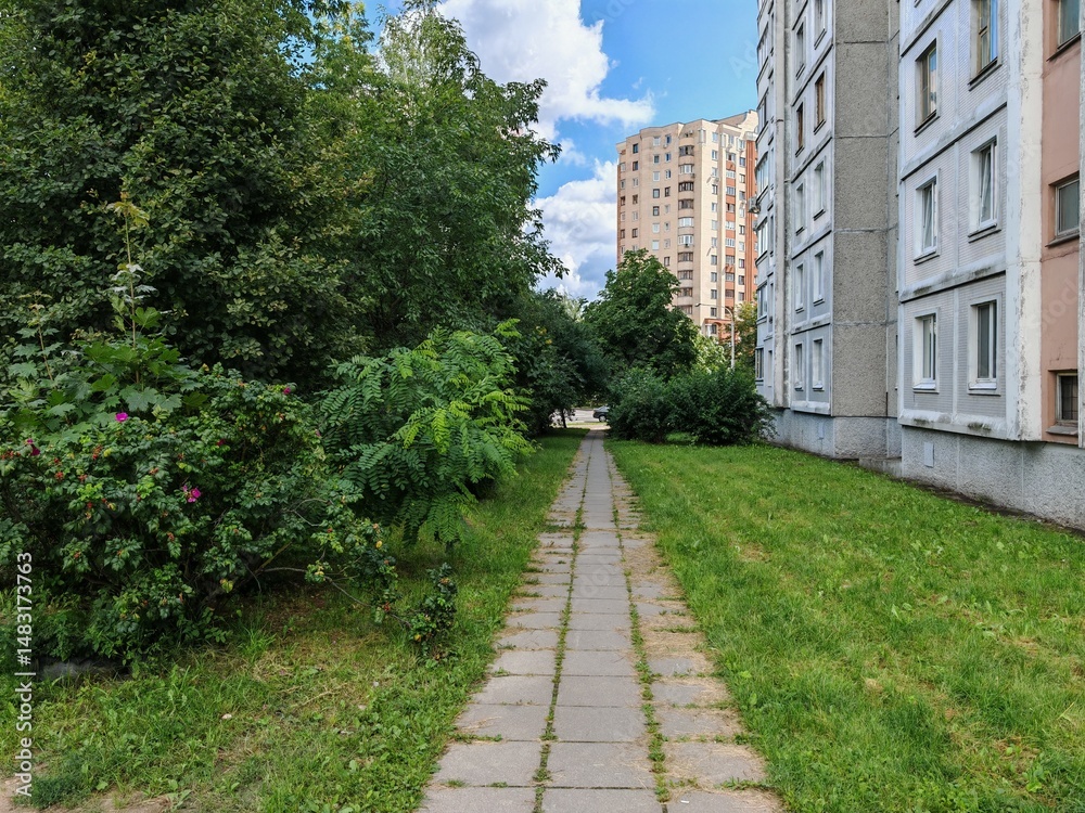 The city street is lined with high-rise living buildings. There is a concrete tile path nearby, and chestnut, acacia and other deciduous trees grow on the grassy lawns. Sunny summer weather The city street is lined with high-rise living buildings. There is a concrete tile path nearby, and chestnut, acacia and other deciduous trees grow on the grassy lawns. Sunny summer weather