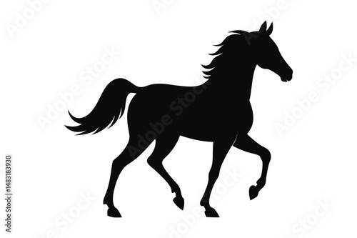 Racehorse Silhouette  Vector bundle  illustration, Racehorse Silhouette 
