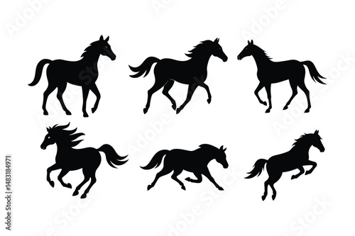 Racehorse Silhouette  Vector bundle  illustration, Racehorse Silhouette 