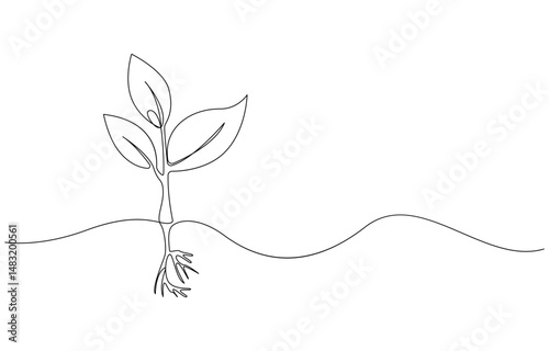 continuous line drawing representing a growing plant with leaves