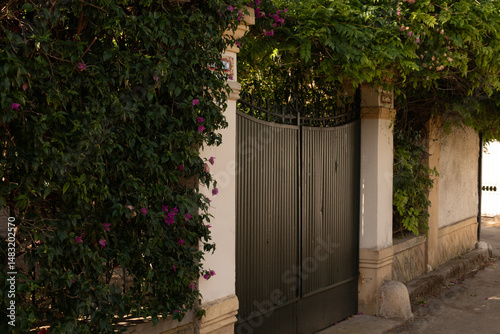Stock photo of a charming gate,  hidden by vibrant green vines and purple flowers. Perfect for travel, home, and garden themes.