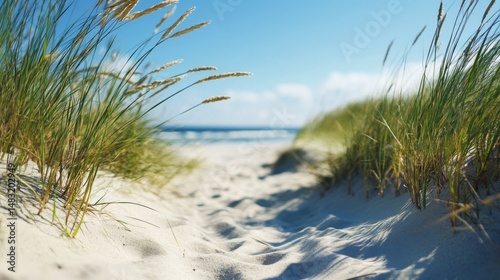 Fototapeta Naklejka Na Ścianę i Meble -  Panoramic landscape background banner panorama of sand dune, beach and ocean north sea with blue sky, clouds and sunbeams