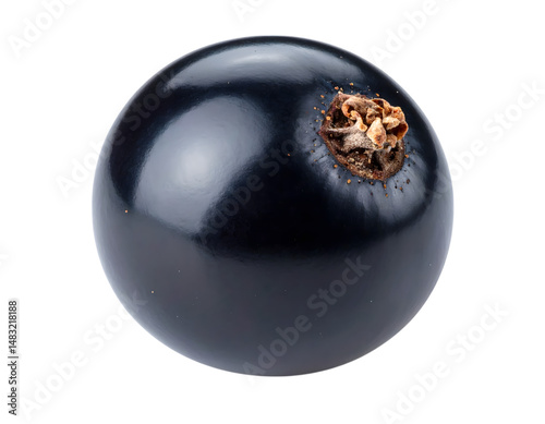 single Blackcurrant fruit food photography