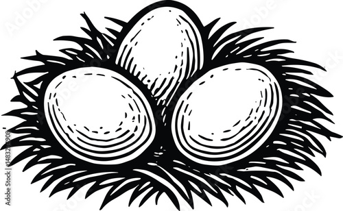 A black-and-white line drawing of three eggs side by side with simple shading and clean outlines, representing natural farm produce, minimalistic food art, and breakfast essentials