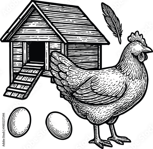 A hand-drawn illustration of a chicken leaving a rustic coop, set in a natural farm environment. This detailed sketch captures rural life, poultry farming, and the charm of countryside scenes