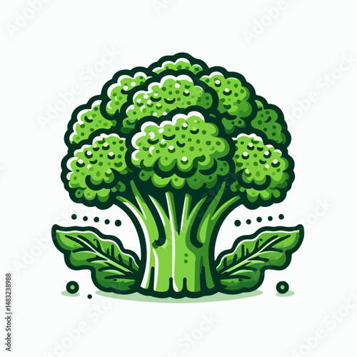 broccoli vegetable illustration 