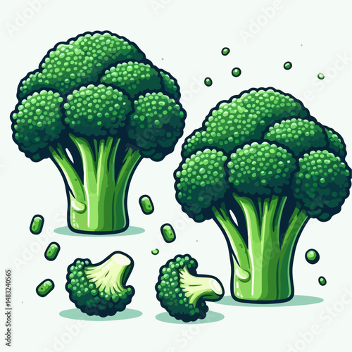broccoli vegetable illustration 