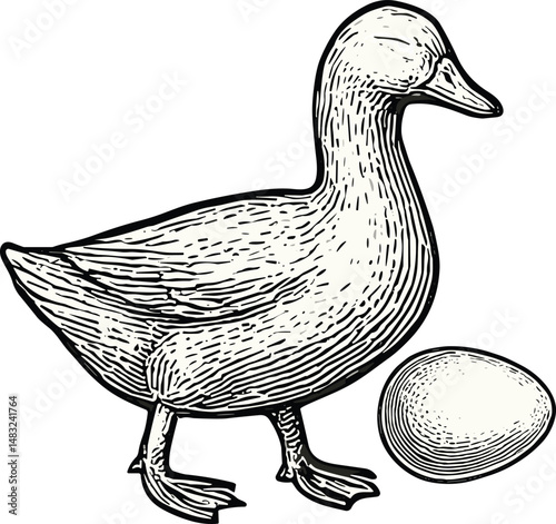 A detailed black-and-white hand-drawn illustration of a duck standing beside its egg, symbolizing rural poultry farming, nature, and animal husbandry in a traditional, rustic setting