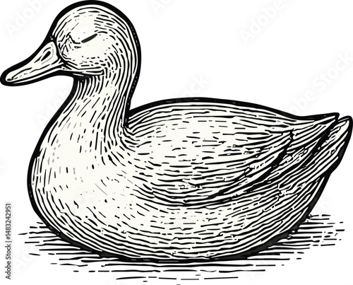 Hand-drawn black-and-white duck illustration showcasing natural shape and detailed feathers with artistic line work, ideal for stock use in wildlife, culinary, and nature-themed projects.