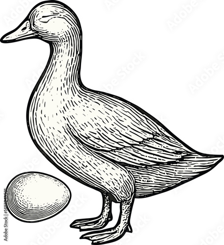 A detailed black-and-white hand-drawn illustration of a duck standing beside its egg, symbolizing rural poultry farming, nature, and animal husbandry in a traditional, rustic setting