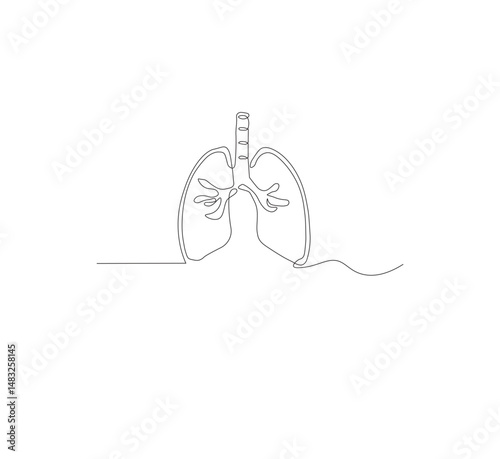 Continuous single line on the anatomy of the lungs. White background Minimalist vector illustration.