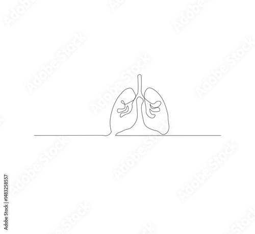 Continuous single line on the anatomy of the lungs. White background Minimalist vector illustration.
