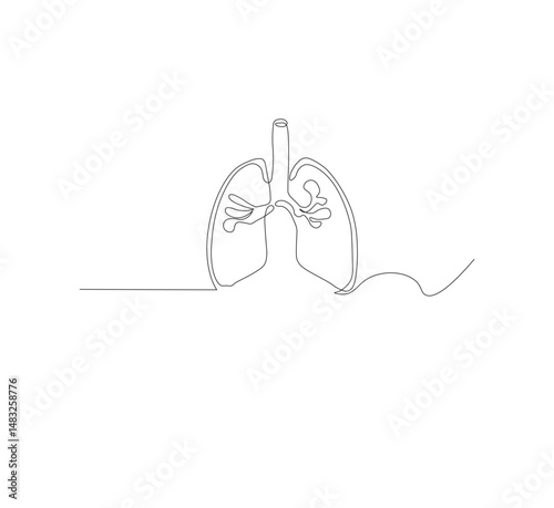 Continuous single line on the anatomy of the lungs. White background Minimalist vector illustration.