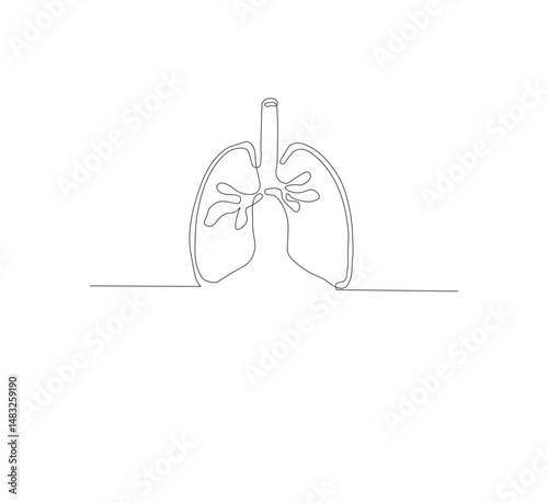 Continuous single line on the anatomy of the lungs. White background Minimalist vector illustration.