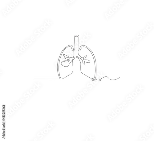 Continuous single line on the anatomy of the lungs. White background Minimalist vector illustration.