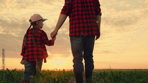 Child girl, dad go hand in hand, field corn sprouts. Family farming business. Agricultural industry. Dad daughter hold hands in field. Father, child walk on field, sunset. Growing corn, organic food