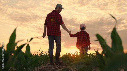 Dad daughter hold hands in field. Father, child walk on field, sunset. Kid girl, dad go hand in hand, field corn sprouts. Family farming business. Agricultural industry. Growing corn, organic food