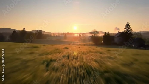 sunset over the field