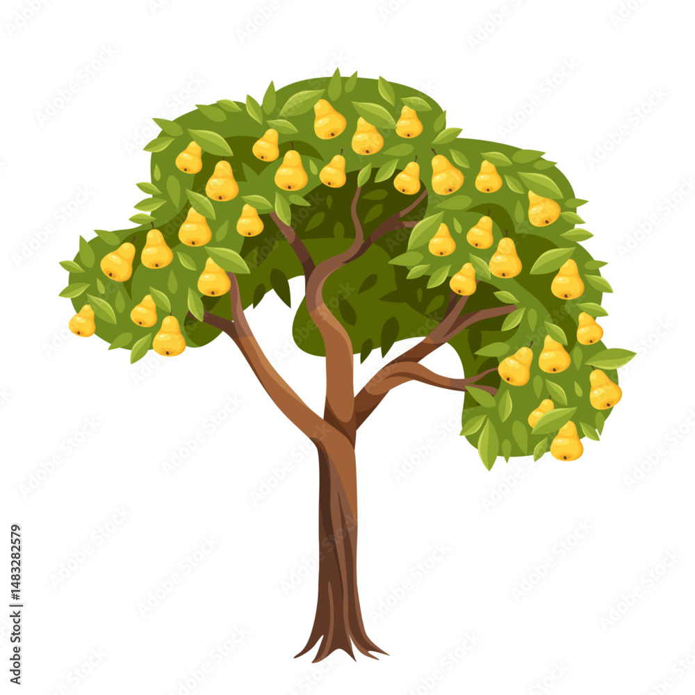 Fruit plant or pear tree. Vector clipart of garden nature. Element of orchard harvest or horticulture juice flora, ripe summer greenery. Seasonal food wood. Botany or agriculture, biology, countryside