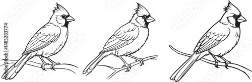 Cardinal bird on branch vector silhouette, Bird on a branch line art, Vector illustration