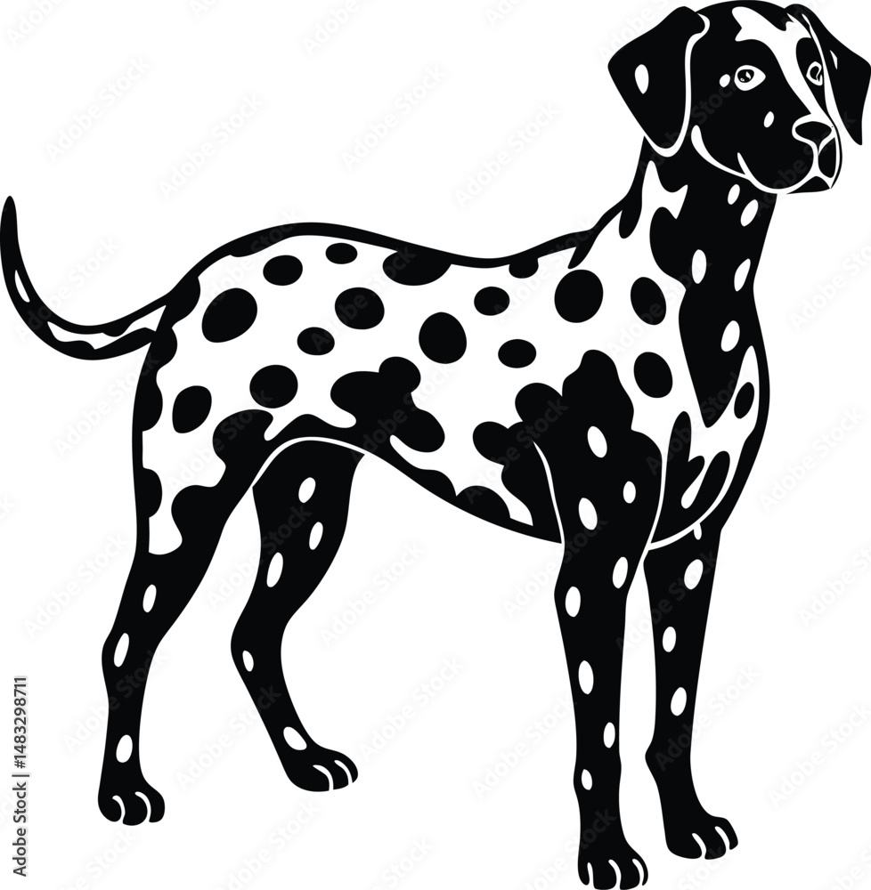 Fototapeta premium Dalmatian Silhouette With Spot Outlines