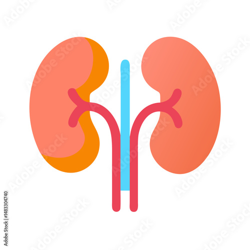 Kidney Organ System Icon Representing Human Anatomy and Renal Function