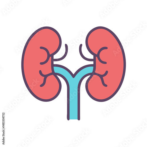 Kidney Organ System Icon Representing Human Anatomy and Renal Function