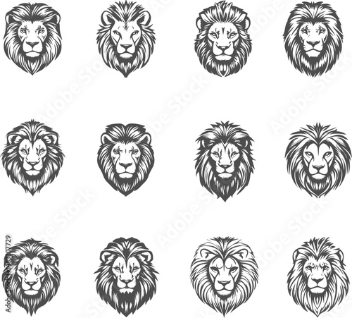 Set silhouettes of lion head. Front view