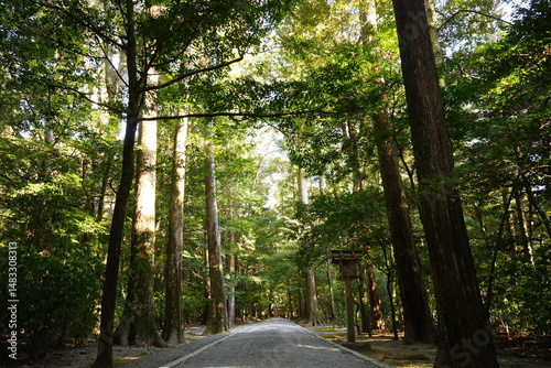 Pilgrimage Path to Takiharanomiya or Ise Jingu Shrine Naigu in Mie, Japan - 日本 三重 皇大神宮別宮 瀧原宮 または 伊勢神宮 内宮 参道	
