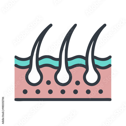 Skin with Hair Follicles Icon Representing Dermatology and Hair Growth