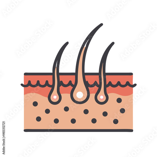 Skin with Hair Follicles Icon Representing Dermatology and Hair Growth