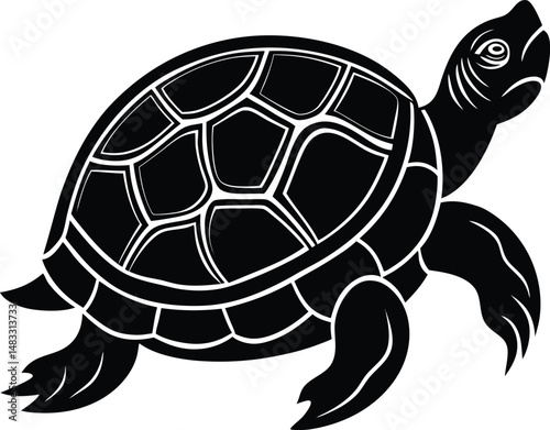 turtle vector illustration