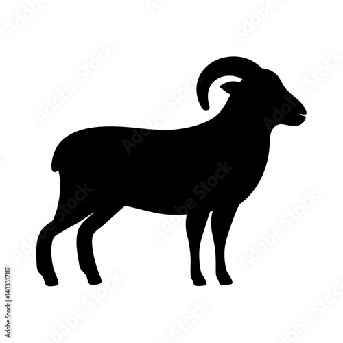 Silhouette of an Adult Male Ram Showing Off Its Majestic Horns