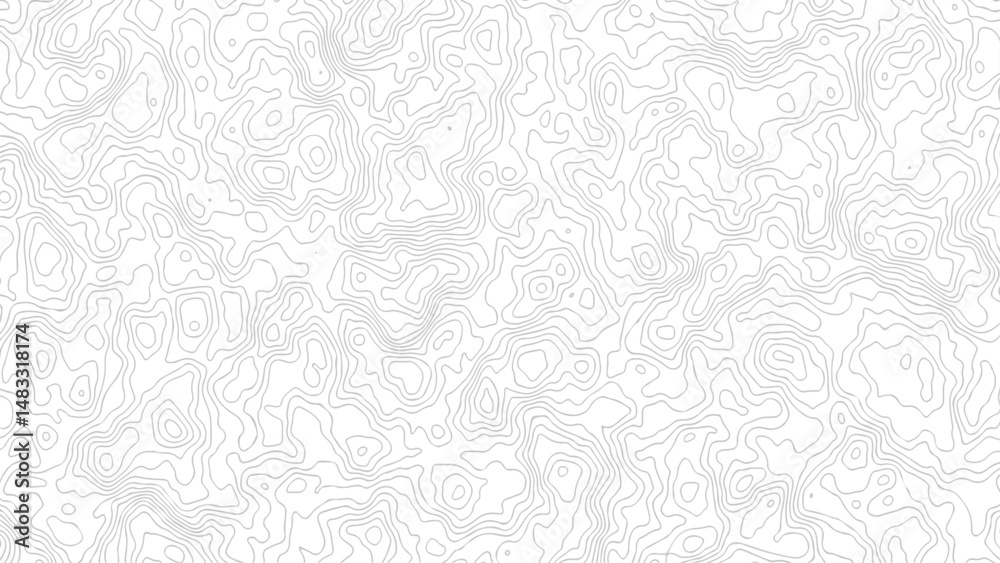 Fototapeta premium topography white background and black line wireframe isoline location diagram world map texture design .