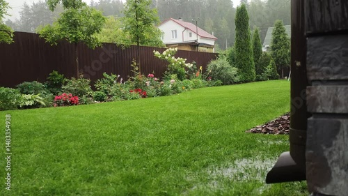 Oak trees, thujas and a flower bed with various plants grow on a grassy lawn near a metal fence. It is raining heavily in the summer and water is pouring from the roof of the house through a drainpipe