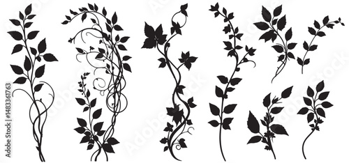 Jungle creeper silhouettes. Tropical forest lianas, rainforest hanging sprouts. Climbing liana vines flat set vector