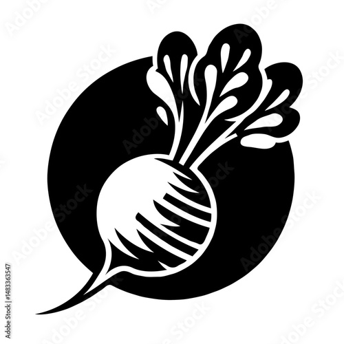 Radish root illustration in black and white minimalist style  