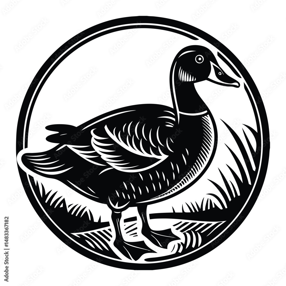 Fototapeta premium Duck on white background