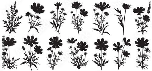 Decorative flower and leaves silhouettes Vector illustration. wildflower silhouette set