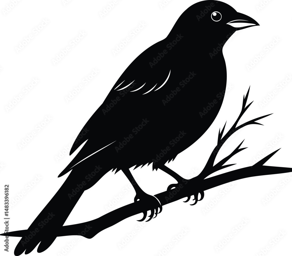 Fototapeta premium A black bird silhouette perched gracefully on a barren branch