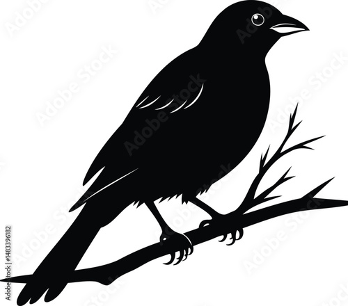 A black bird silhouette perched gracefully on a barren branch
