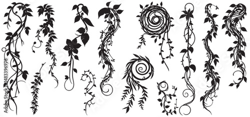 jungle lianas branches silhouette, tropical forest climbing sprouts. Rainforest garden hanging liana vines elements vector illustration set