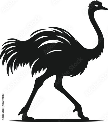 Vector ostrich isolated black silhouette