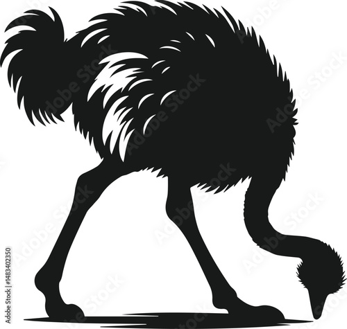 Vector ostrich isolated black silhouette