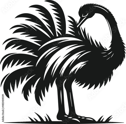 Vector ostrich isolated black silhouette