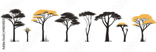 Silhouettes of diverse acacia trees with flat minimalist black and orange canopy shapes on white background vector illustration