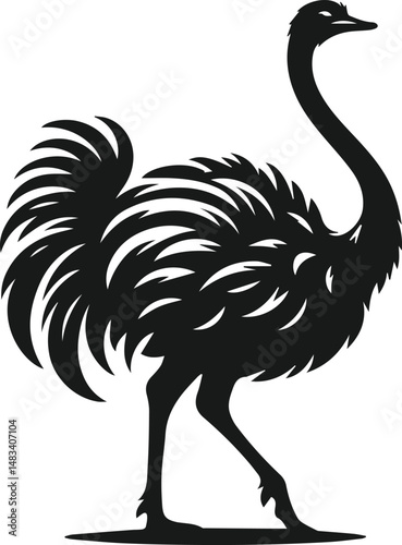 Vector ostrich isolated black silhouette