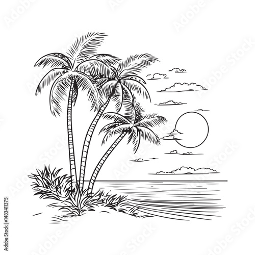 Wallpaper Mural palm trees on the beach engraving outline vector art illustration design, palm tree silhouette, hand drawn beach drawing, line art palm tree, sea, beach, summer view, vintage palm tree on sea beach. Torontodigital.ca