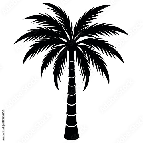 Iconic Palm Tree Silhouette – Long Trunk and Detailed Leaves